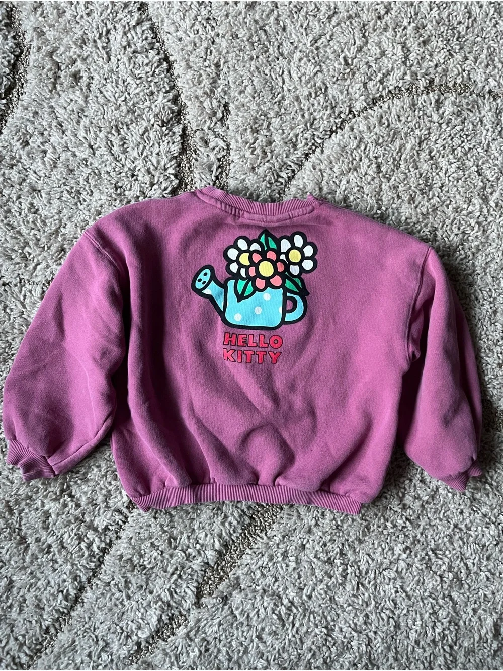 Zara hello kitty kids sweatshirt and zara jeans